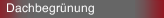 Dachbegr&uuml;nung